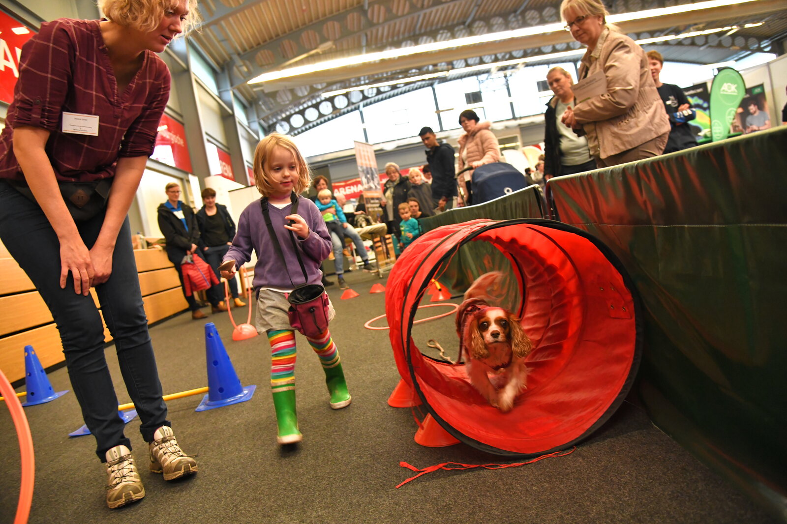 Hund läuft durch Kriechtunnel und wird von mehreren Personen dabei beobachtet. Gesundheitstag Oberhavel 2019 © Kugler
